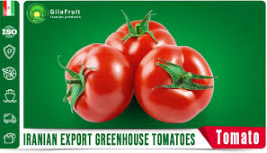 طماط أحمر إيران