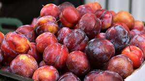 البرقوق الأحمر السوري