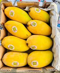 مانجو شاونسا باكستان