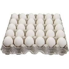 EGG WHITE OMAN