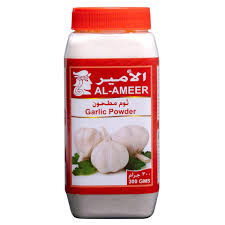 GALIC PODER 300GM