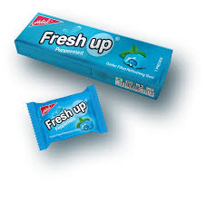 FRESH UP PEPPERMINT GUM
