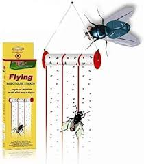 FLYING INSECT GLUE STICKER