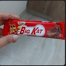 YUMTIME BIG KAT