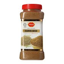 PRAN CUMIN POWDER 100GM