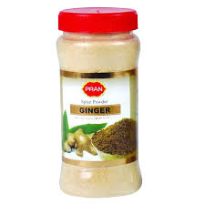 PRAN GINGER POWDER 100GM
