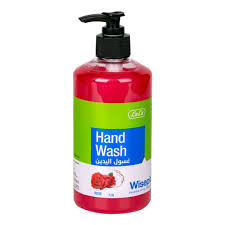 LULU WISEPICKS HANDWASH