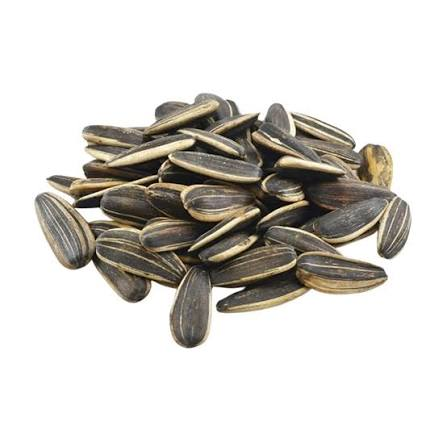SUNFLOWER SEEDS SALTED